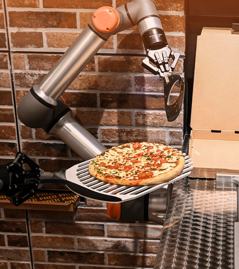 Pizzeria Bot